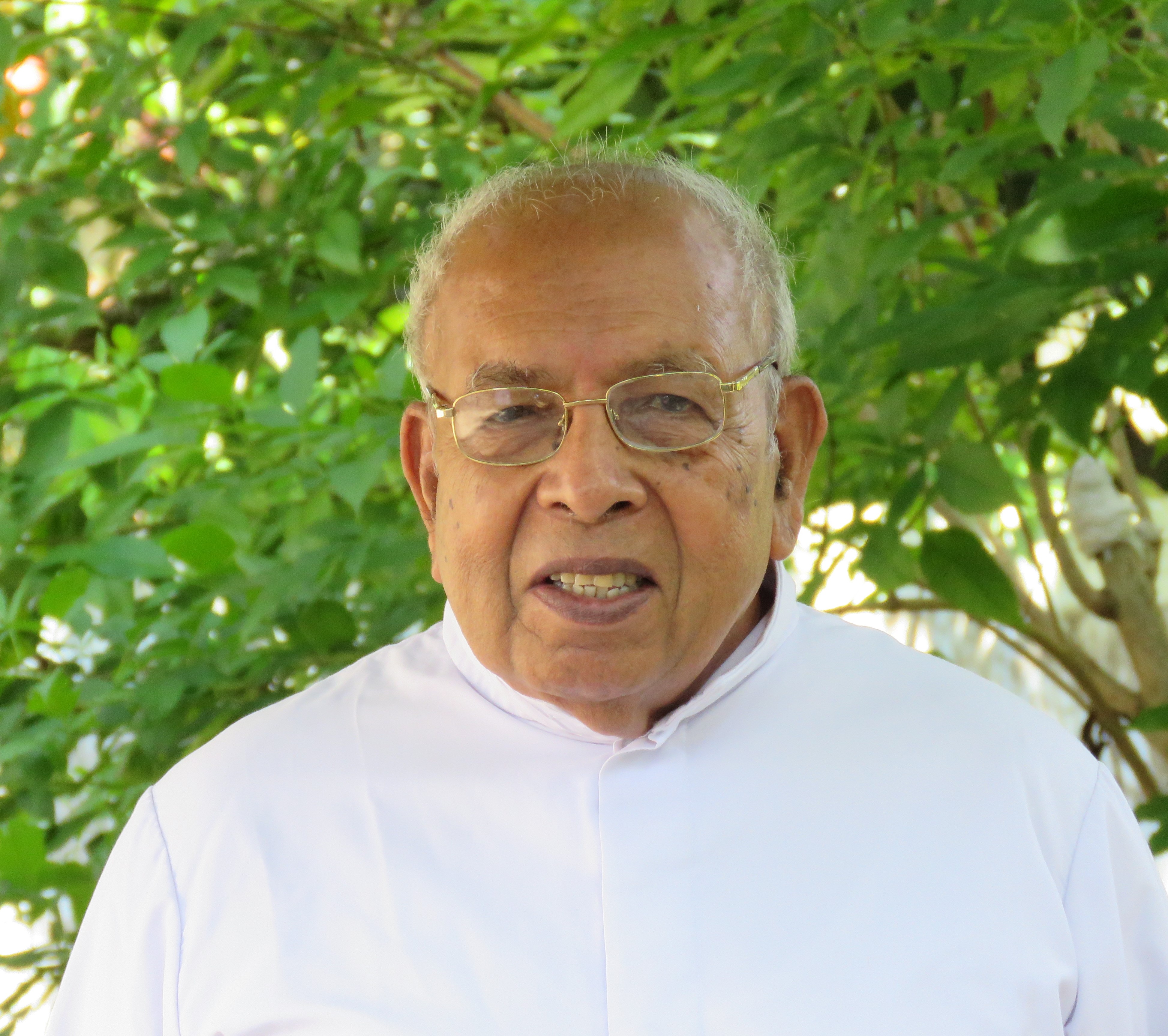 Fr. Madappallikunnel George CMI